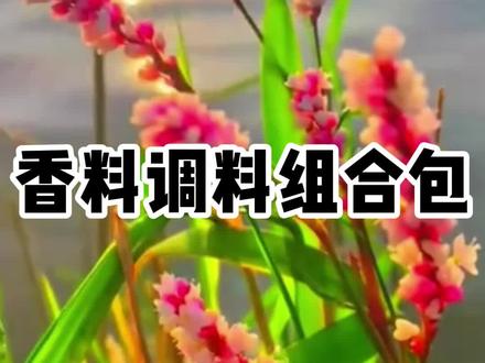 家家户户都用得上的八角香叶桂皮香料包来活动了，6大包才这个价真的太划算了#香料包视频封面