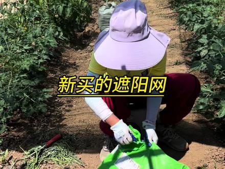 不到10块钱真的也能买到好东西#遮阳网视频封面