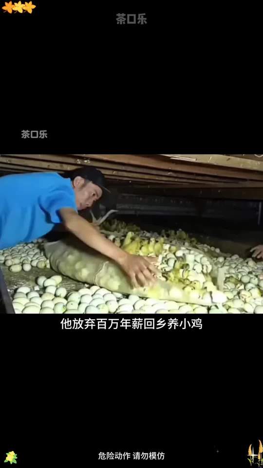 茶叶含着吃，清润清爽茶香四溢#茶叶含片 #口气清新 #出门必备#妈呀太香了视频封面
