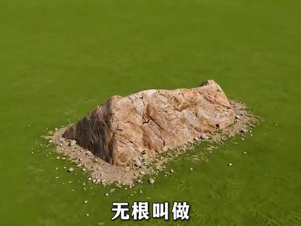 别再只会统称叫山了！ 原来古人看山形态不同，叫法全都不一样。 
#传统文化  #国学科普   #精选内容 #用vibecoding打开人文新视界 #用ai打开人文新视界@抖音人文 @抖音精选小助手 @抖音创作者大会视频封面