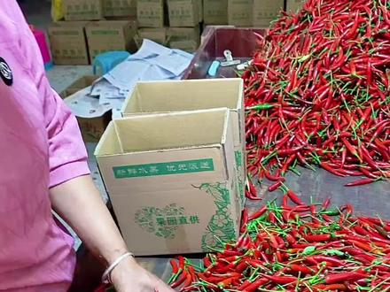 #小米辣椒 #无辣不欢 #现摘现发新鲜到家视频封面