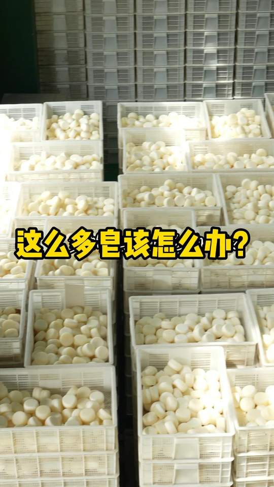请给红卫一个机会吧！ #羊脂皂#红卫#老国货视频封面