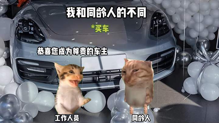 我和同龄人的不同 #猫meme #二次元 #男大 #显卡 #无畏契约 视频封面