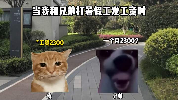 当我打完暑假工发现工资太低时 #猫meme #二次元 #火影忍者手游 #男大 #解压玩具 视频封面
