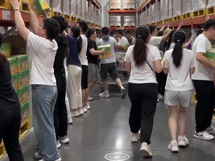 十几块钱一箱，猫犬通用，主食猫饭兼营养包，出口品质，不介意是尾货的囤，拼手速#养宠新手#猫狗双全#薅羊毛#主食猫饭#猫咪湿粮视频封面
