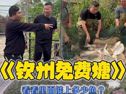 在广西免费包下口山庄鱼塘，看看里面会有多少鱼？#三农#户外#乡村生活视频封面