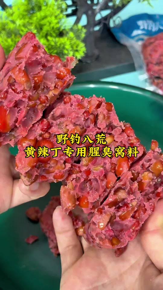 钓黄辣丁试试这款专用窝料，比鸡肝猪肝更好用，#钓黄辣丁 #野钓黄辣丁  #黄辣丁窝料 #窝料 #钓鱼视频封面
