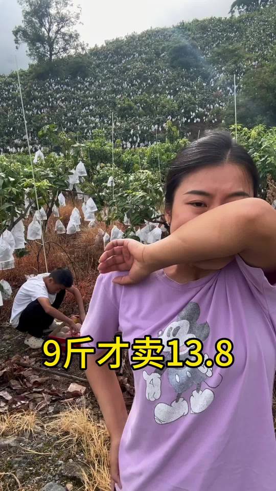 #凯特芒果视频封面