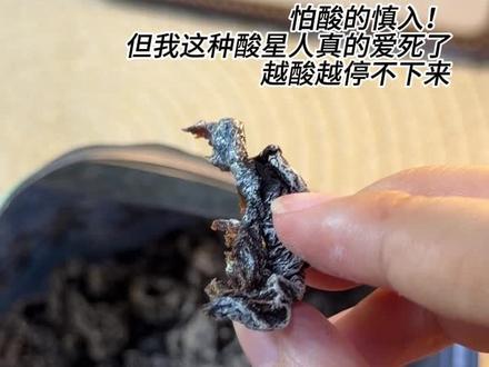 谁懂啊！无核梅肉酸甜到上头，追剧停不下来！ 精选好果去核工艺，肉厚耐嚼酸甜不腻，九制工艺保留原果香，休闲解馋超合适～#好物推荐🔥 #童年回忆 #平价好物 #怀旧零食 #快说六一你愿意给我买很多零食吃 视频封面