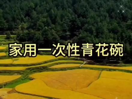 #一次性用品 #碗 #餐具视频封面