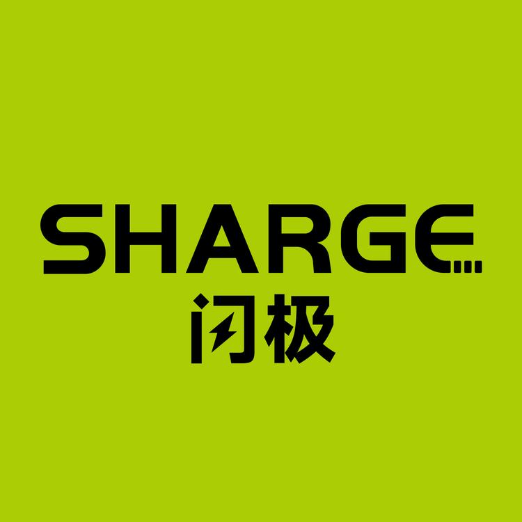 闪极品牌Logo