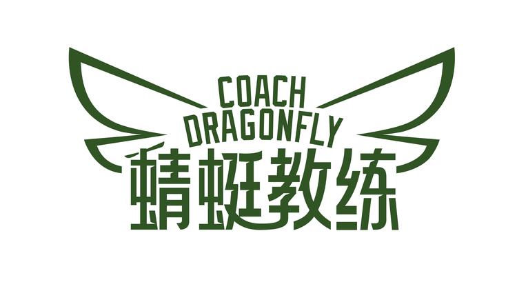 蜻蜓教练品牌Logo