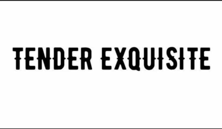tender exquisite品牌Logo