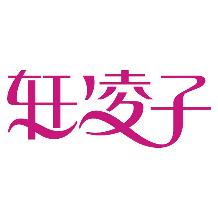 xanLEER/轩凌子品牌Logo