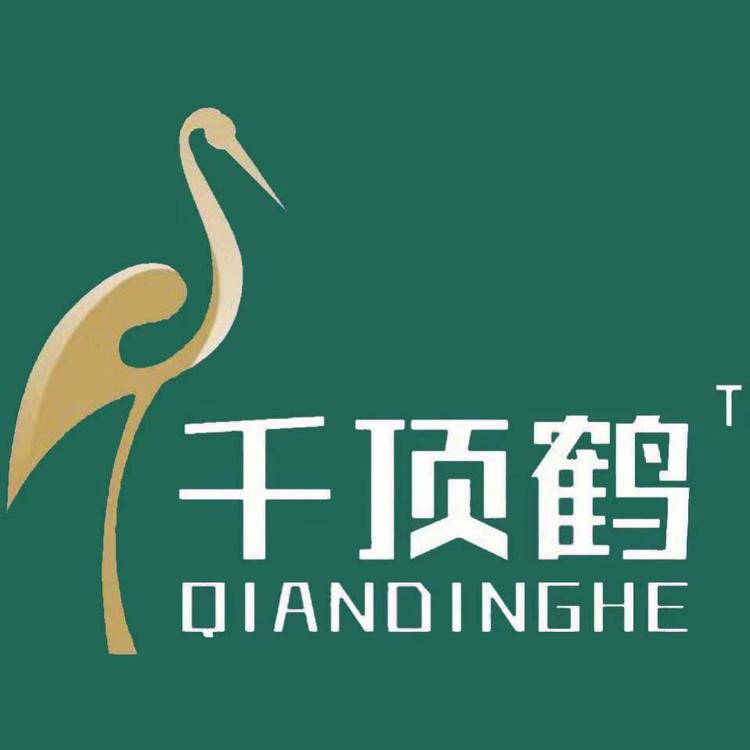 千顶鹤品牌Logo
