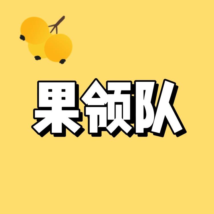 果领队品牌Logo