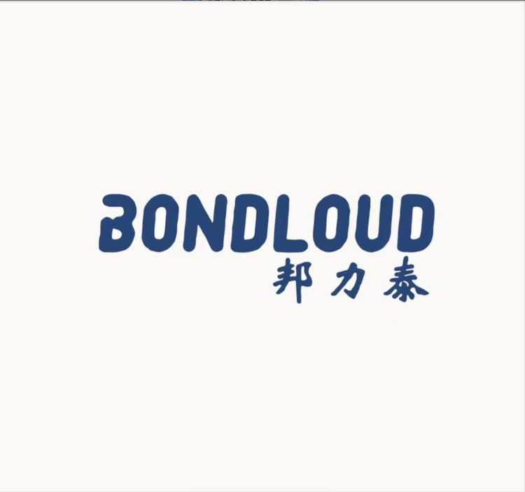 邦力泰品牌Logo