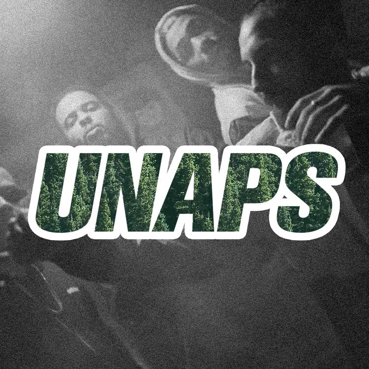 UNAPS品牌Logo