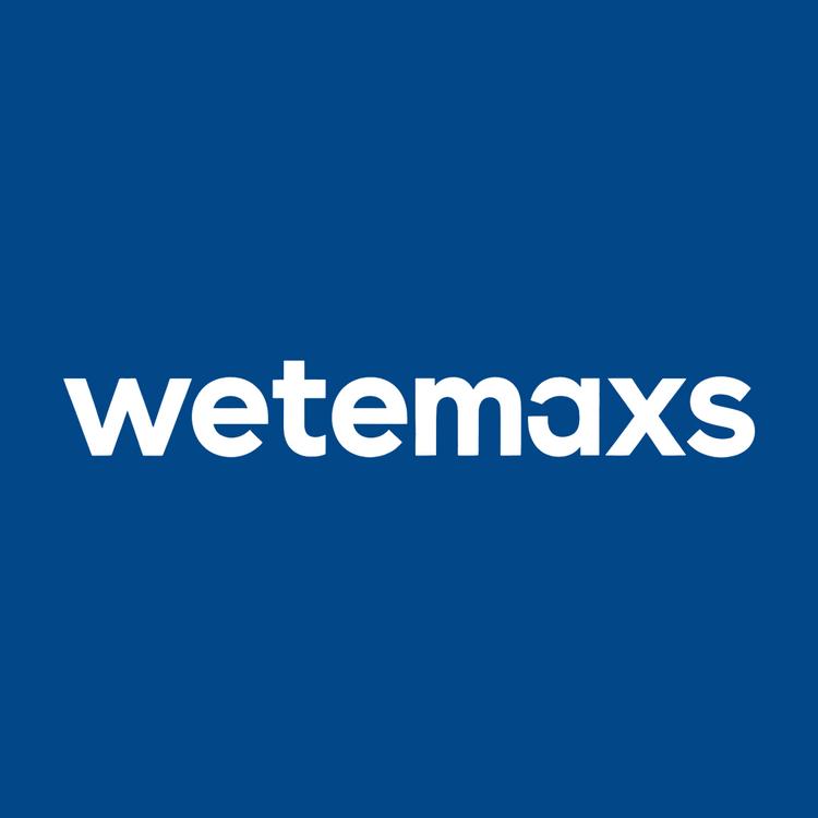 wetemaxs品牌Logo