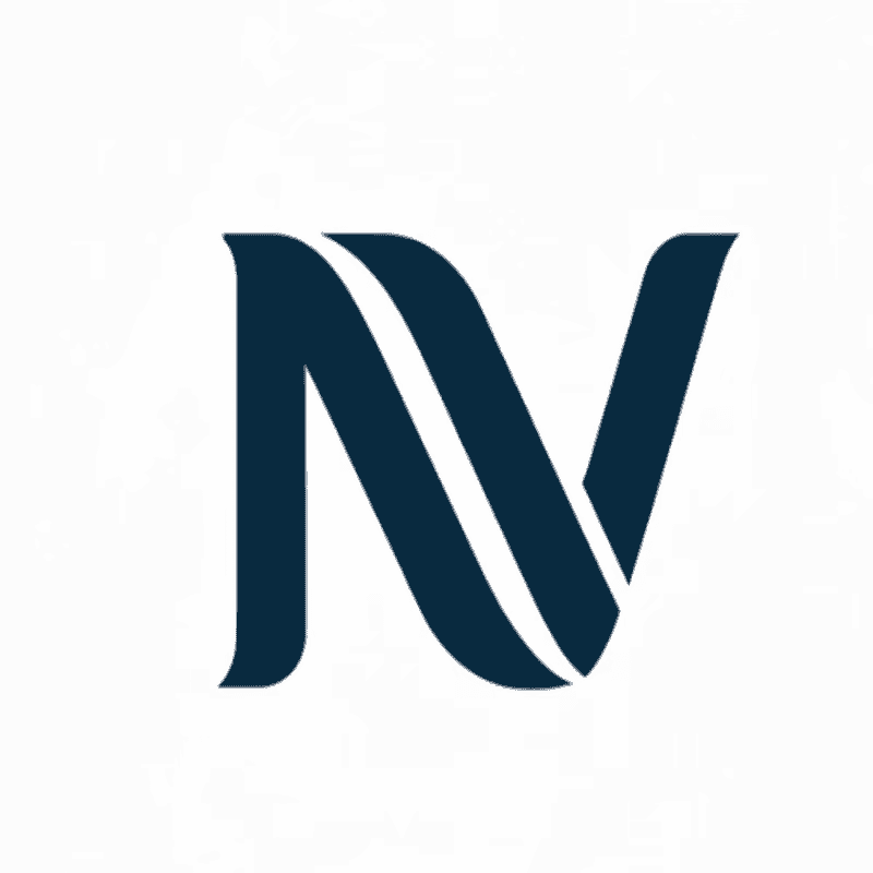 NSLV品牌Logo