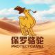 Protectcamel/保罗骆驼品牌logo