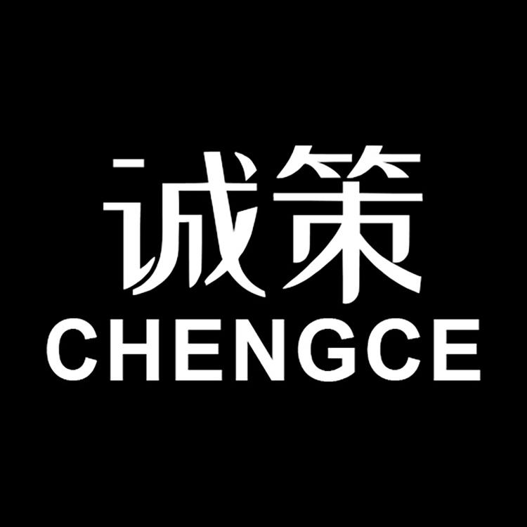 诚策品牌Logo