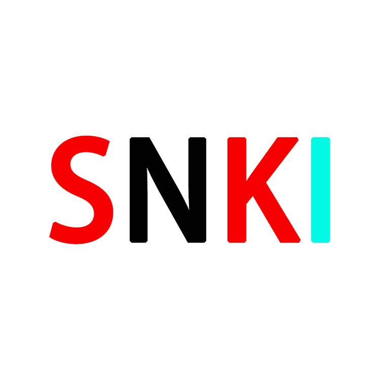 SNKI品牌Logo