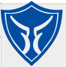 NANSHI/蓝狮品牌Logo