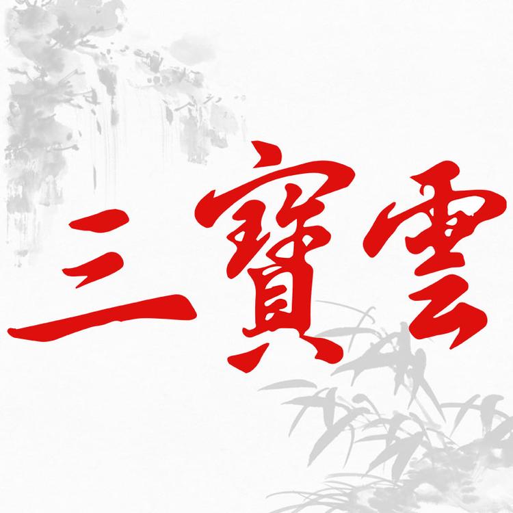 三宝云品牌Logo