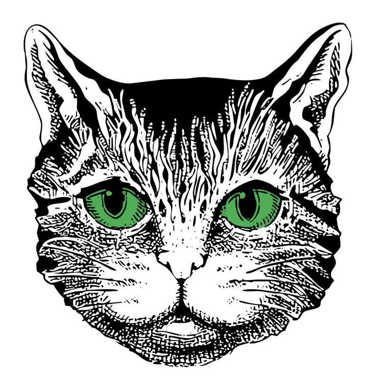 桐可品牌Logo