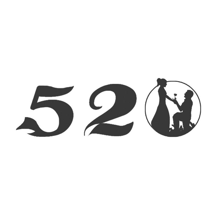 520品牌Logo