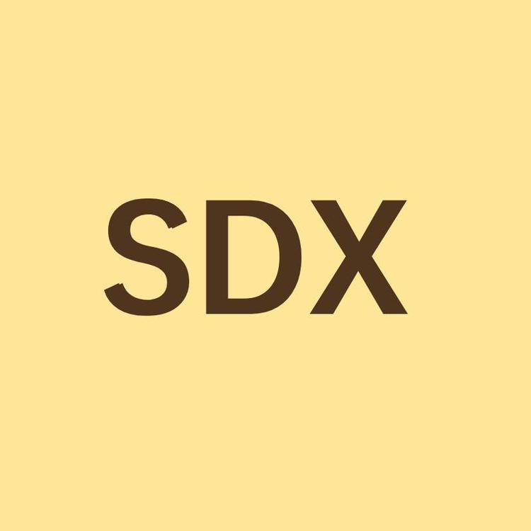 SDX品牌Logo