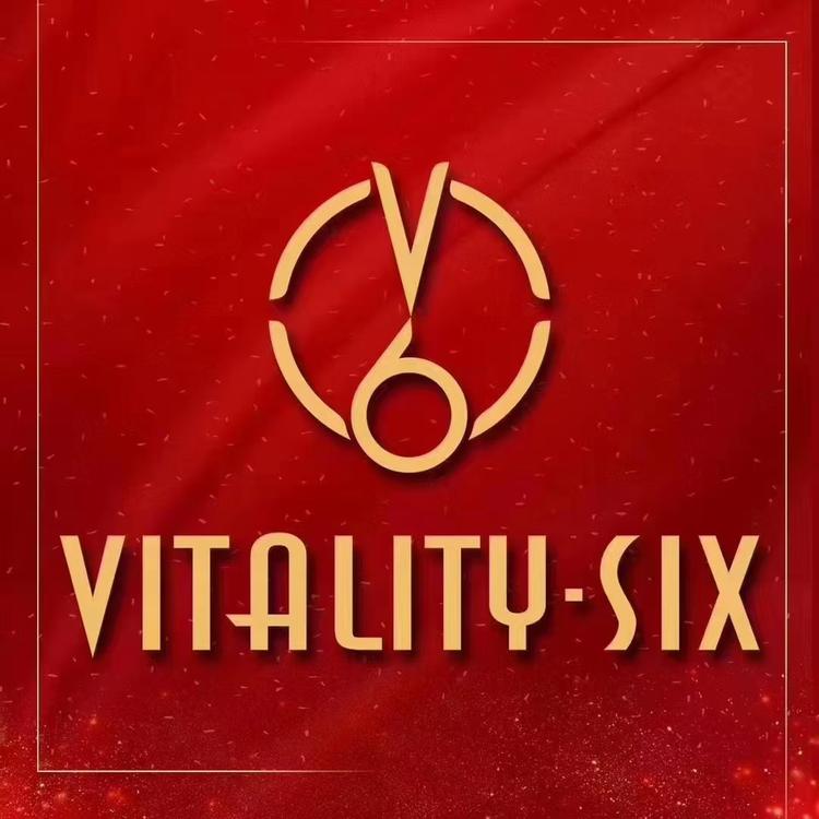 VITALITY.SIX品牌Logo