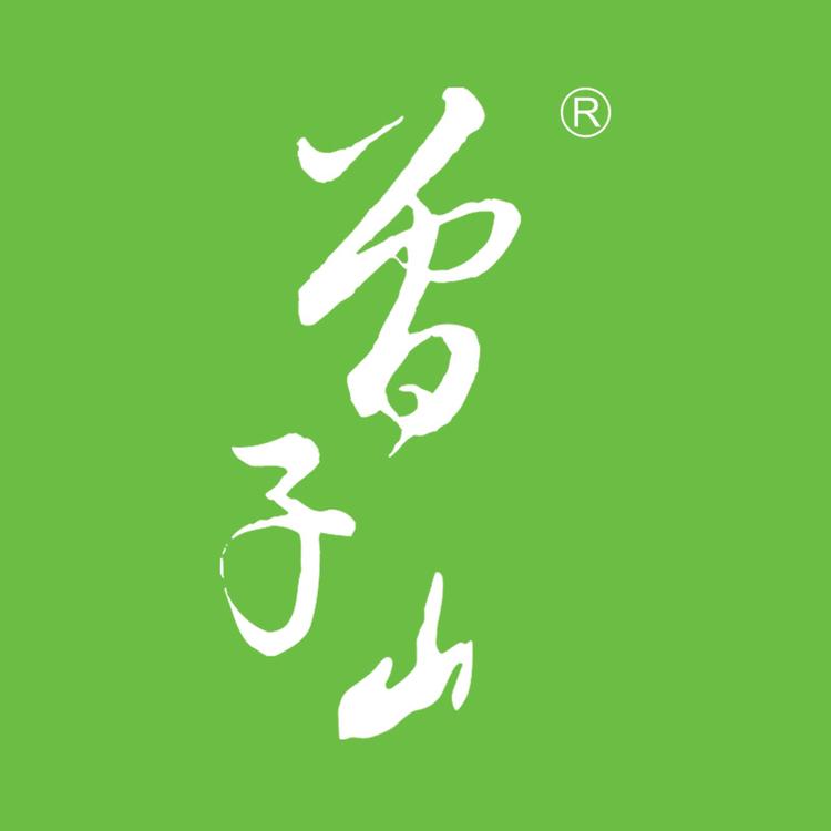 ZHENGZI MOUNTAIN/曾子山品牌Logo