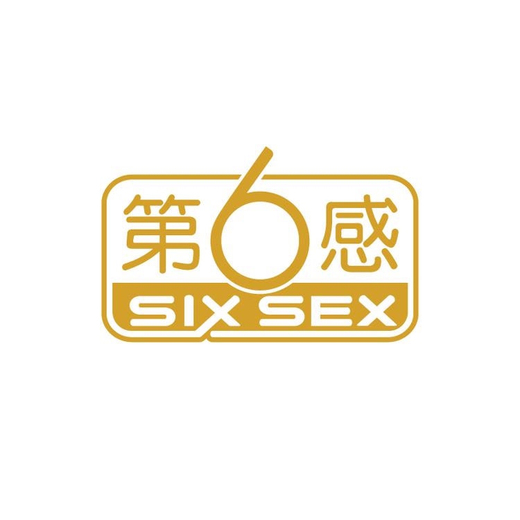 第6感品牌Logo