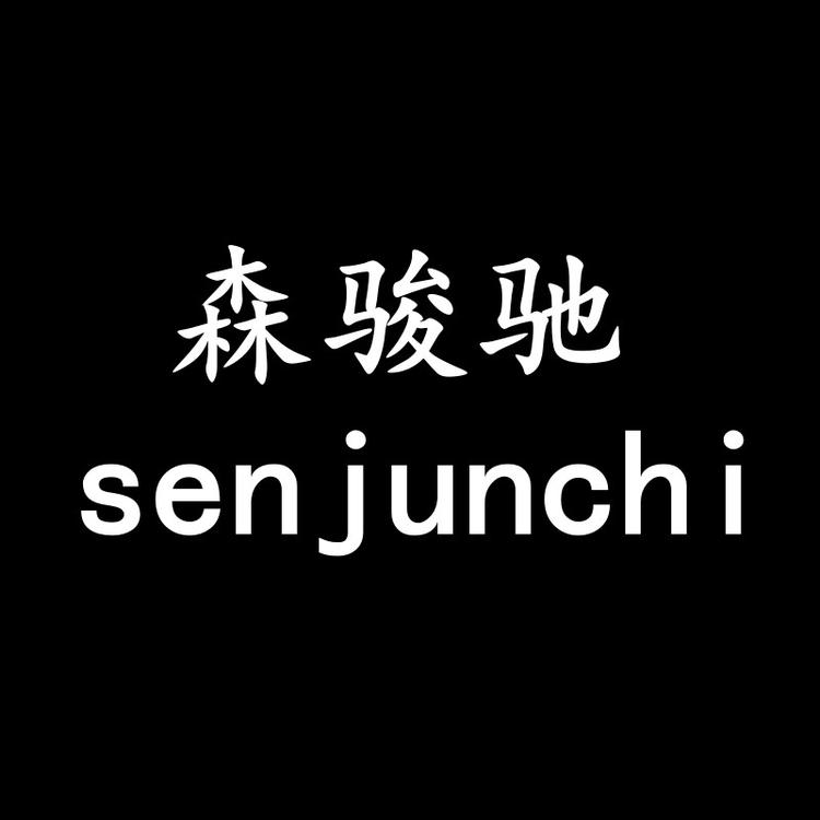 森骏驰品牌Logo