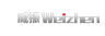 威振品牌Logo