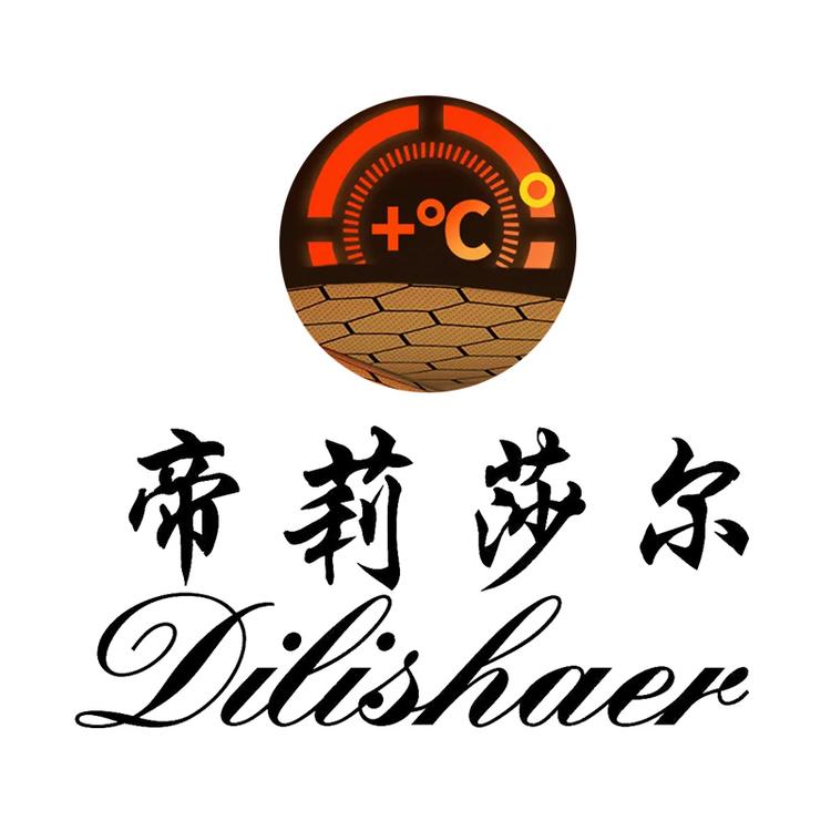 dilishaer/帝莉莎尔品牌Logo