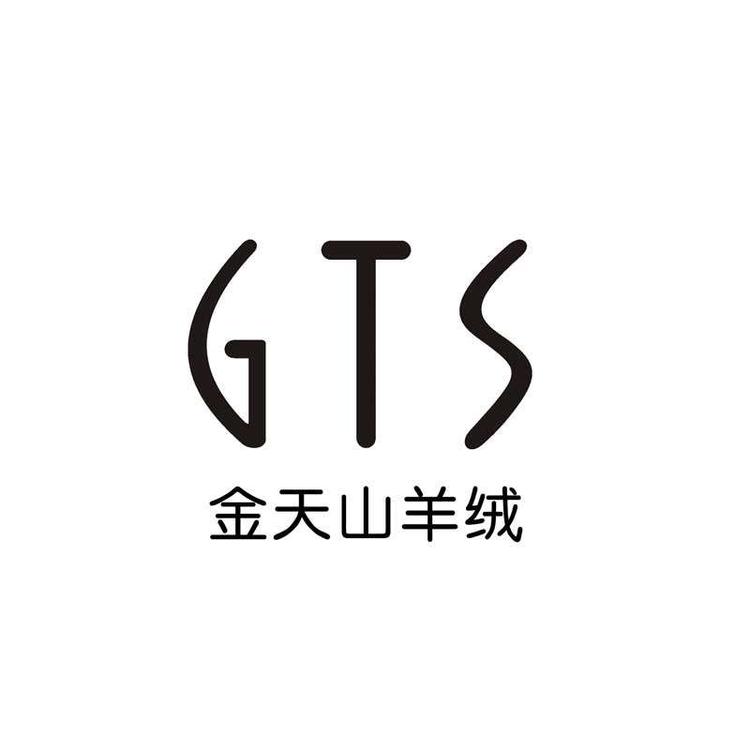 GTS品牌Logo