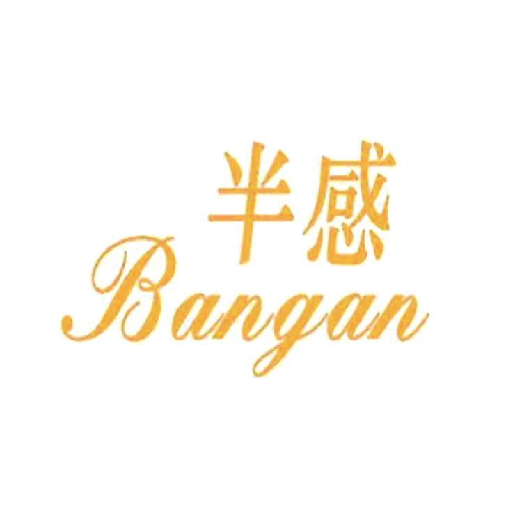 半感品牌Logo