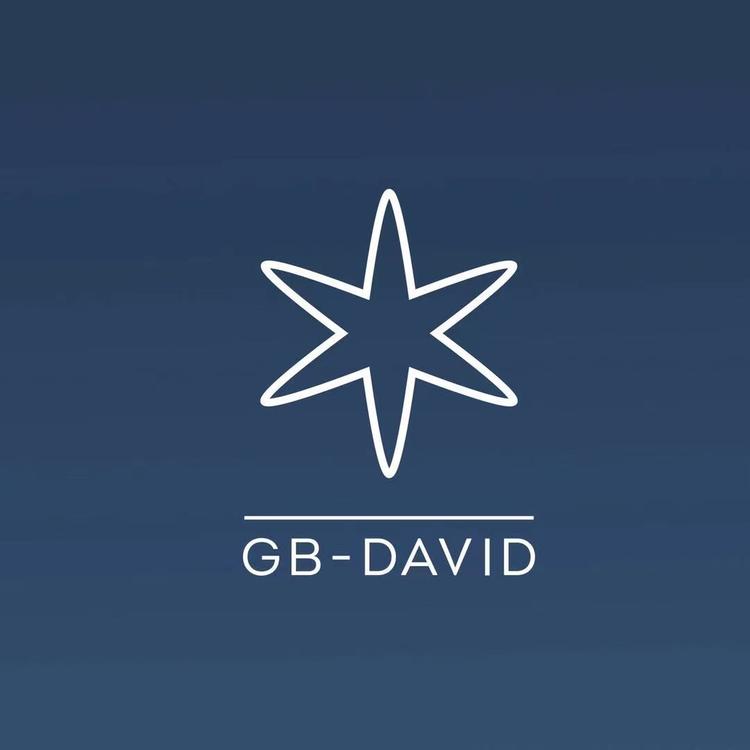 GB DAVID品牌Logo