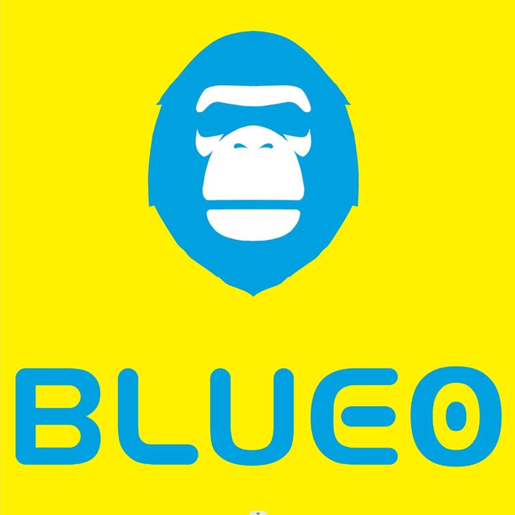BLUEO品牌Logo