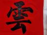 云中燕品牌Logo