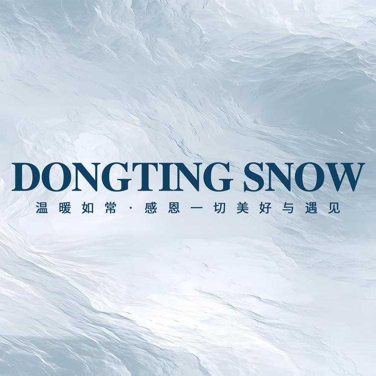 DONGTING SNOW品牌Logo