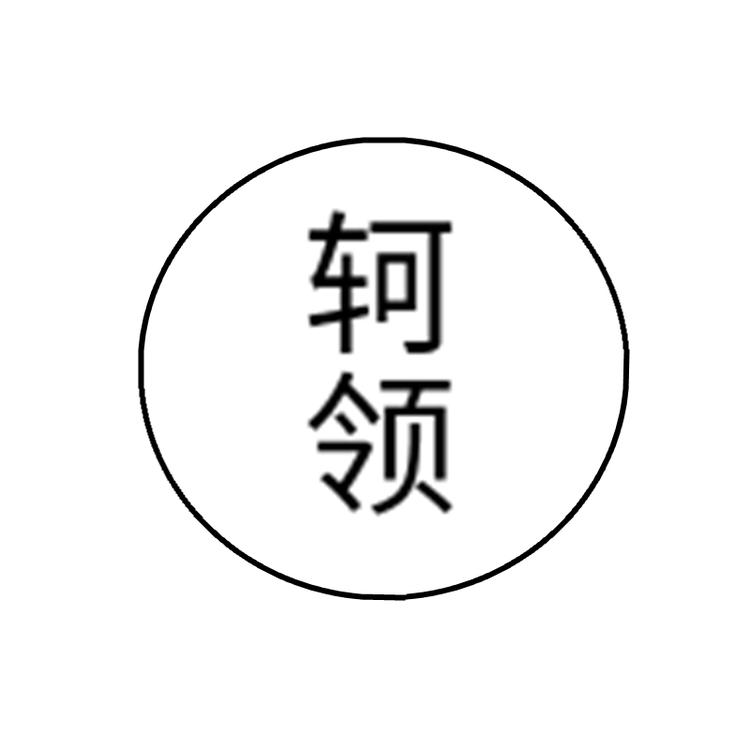 轲领品牌Logo