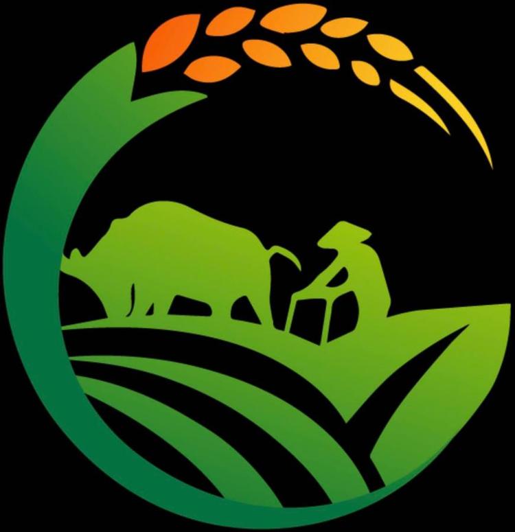 狄麦品牌Logo