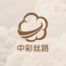 天彩100品牌Logo
