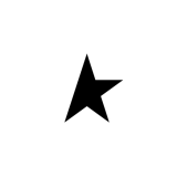 GOLDEN GOOSE品牌logo