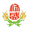 杨盛品牌Logo