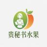 贵秘书品牌Logo